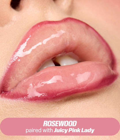 LIP STAIN & OIL KIT - US 3972
