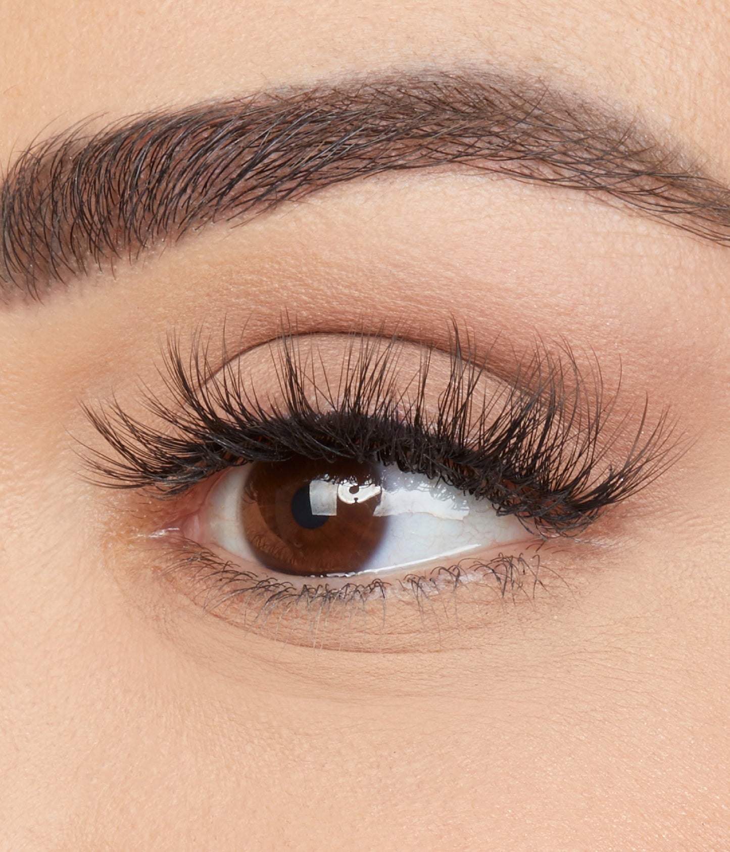 HOODIE FALSE LASHES - US 3373