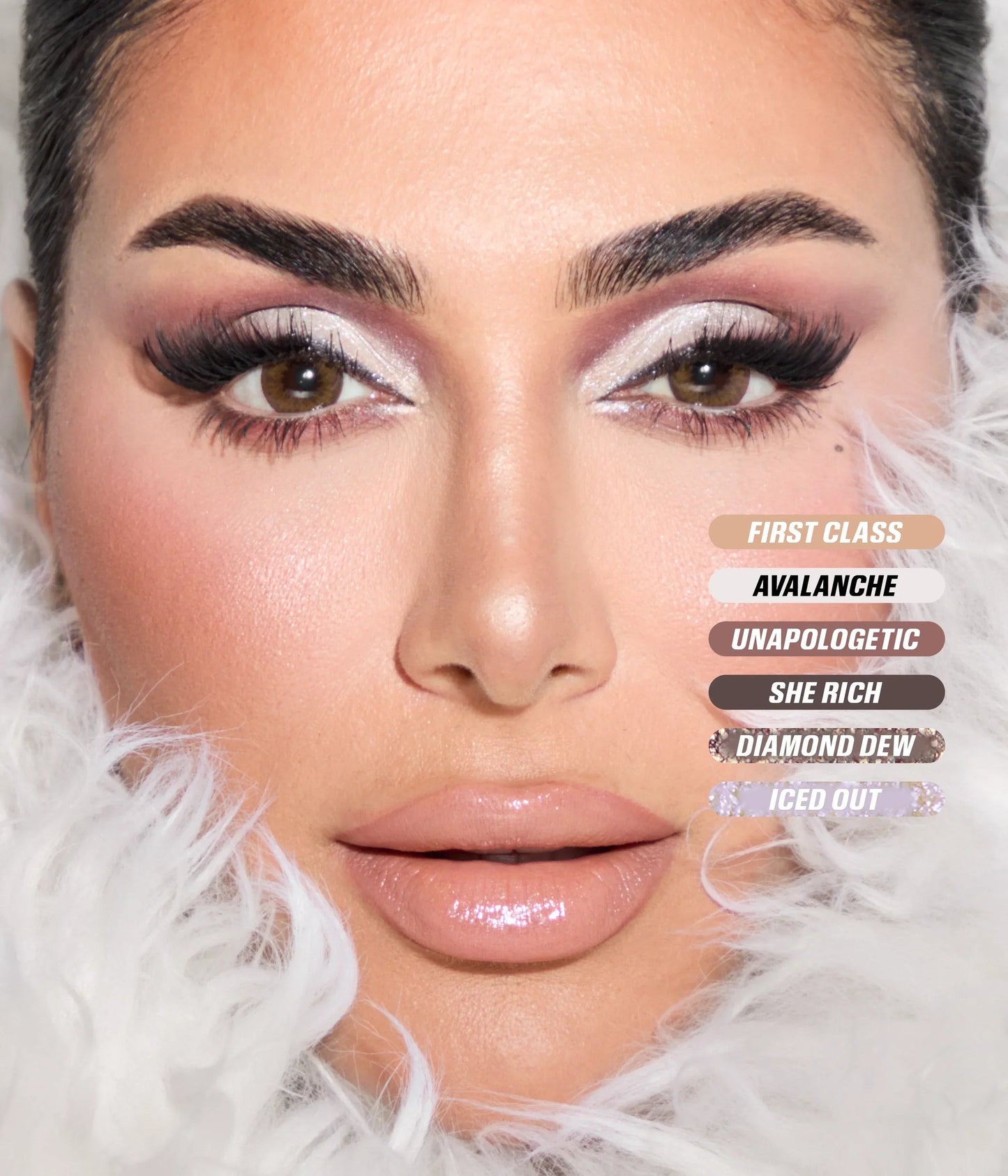 ICY NUDE EYESHADOW PALETTE - US 0693